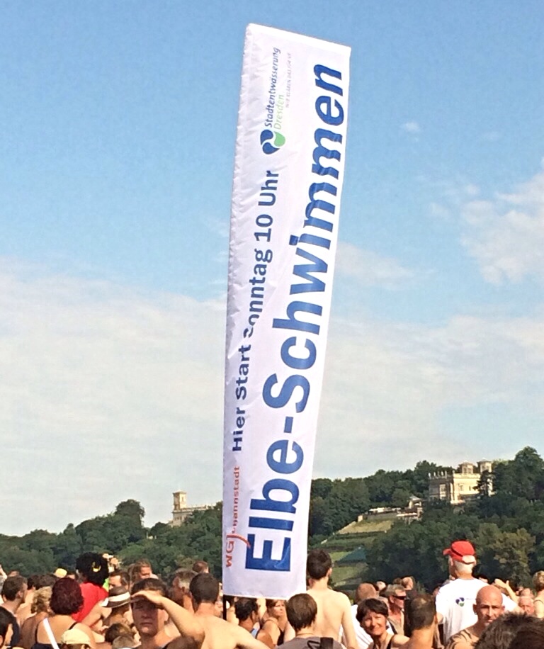Elbeschwimmen-Dresden-01